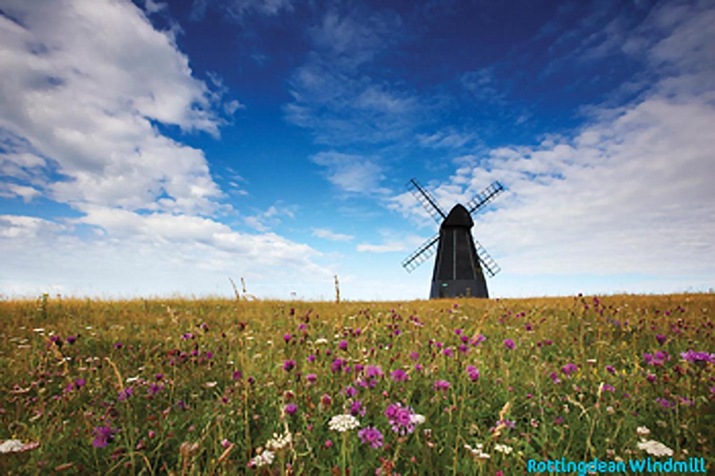 Dean Court Garden - Parking - By Brighton Holiday Lets Экстерьер фото